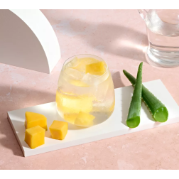 Aloe Concentrato Herbalife Gusto Mango 473ml | Herbalfit24
