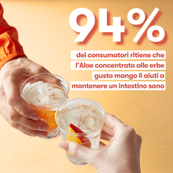 Aloe Concentrato Mango 1,892L Herbalife – 126 Porzioni